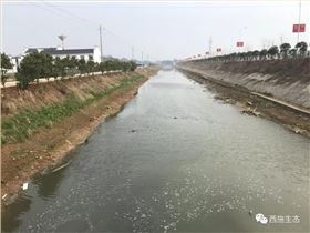 大熊山風電場 施工前