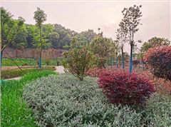 衡陽市常寧水口山鉛鋅煤礦區(qū)山水林田湖草生態(tài)保護(hù)修復(fù)試點(diǎn)工程