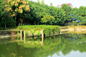 西施園湖光美景