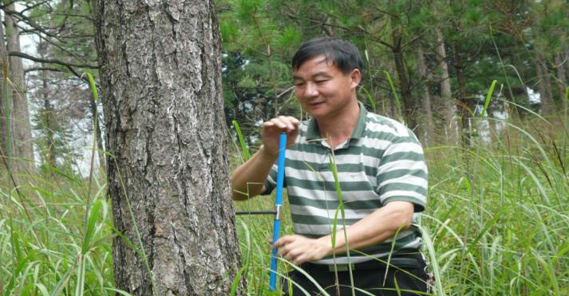 中南林業(yè)科技大學研究員，碩士生導師