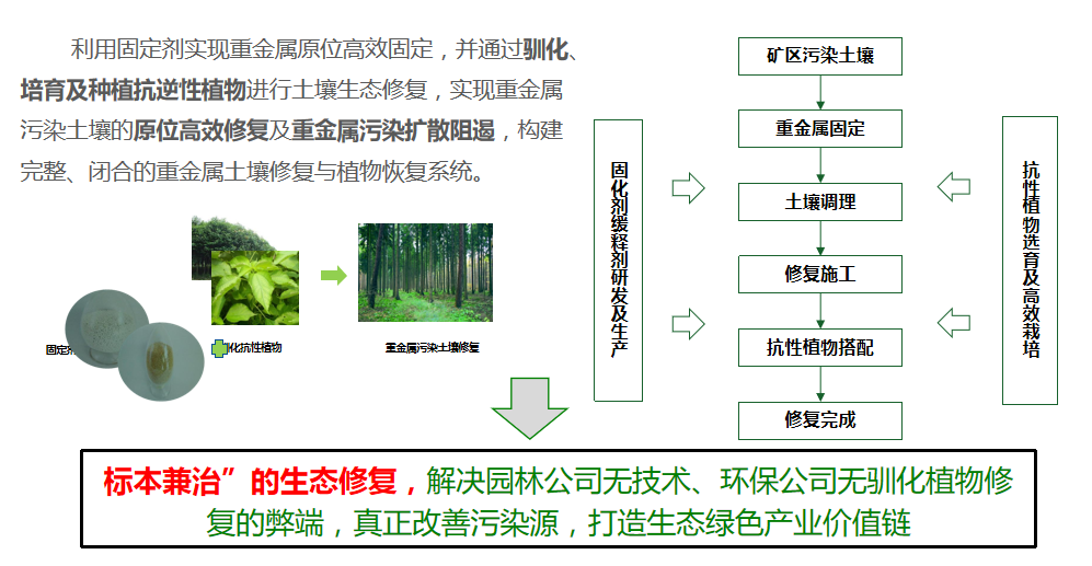 修復(fù)方案優(yōu)勢