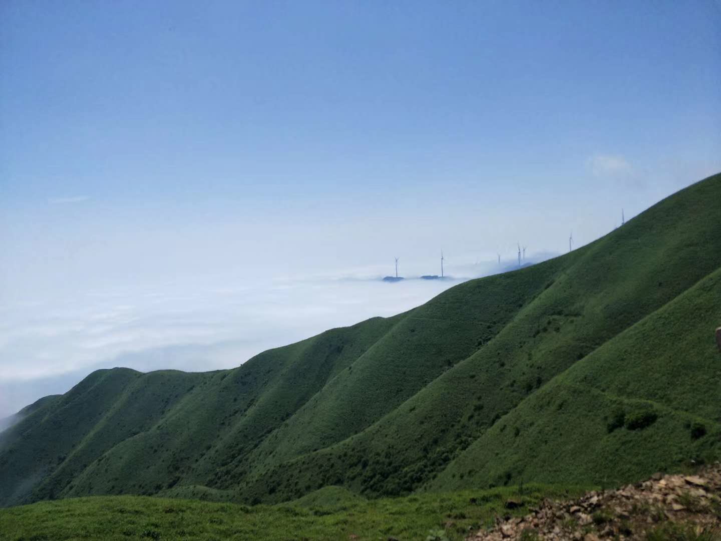 臨武三十六灣風(fēng)電場邊坡綠化、生態(tài)恢復(fù)項目