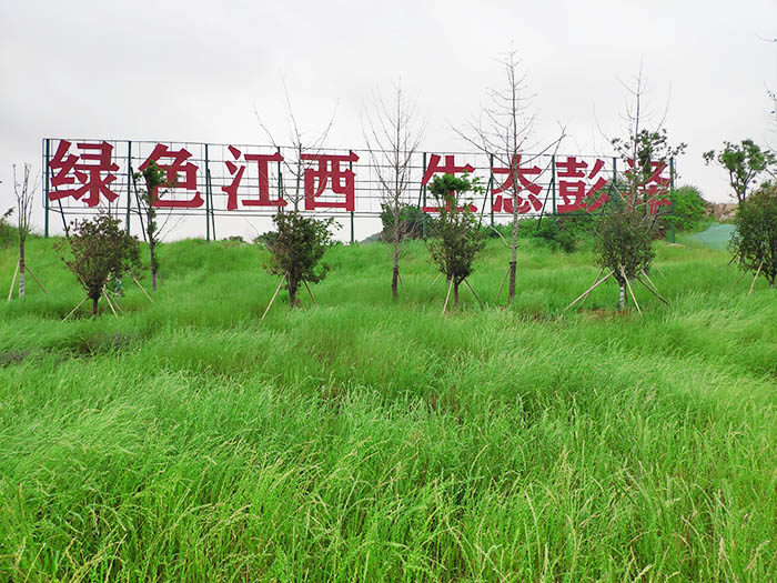 江西彭澤縣馬當(dāng)鎮(zhèn)子磯頭廢棄礦山生態(tài)環(huán)境恢復(fù)治理工程項目