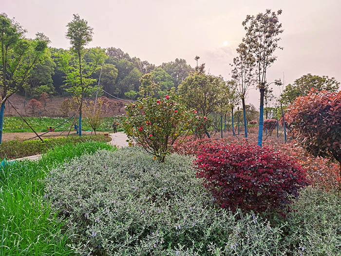 衡陽(yáng)市常寧水口山鉛鋅煤礦區(qū)山水林田湖草生態(tài)保護(hù)修復(fù)試點(diǎn)工程